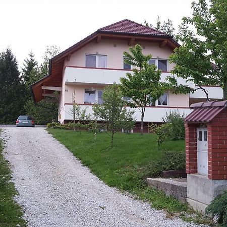 Suzana Apartment Radovljica Exterior photo